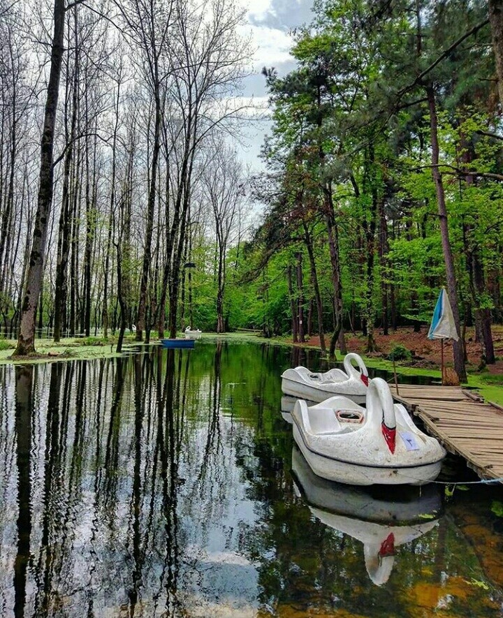 پارک جنگلی رشت