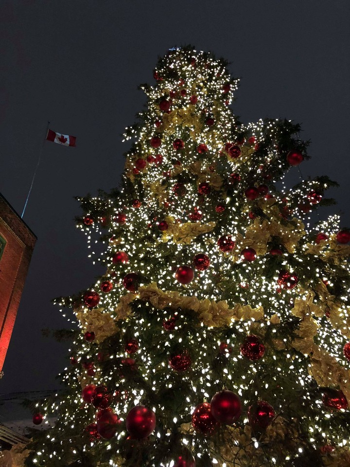 Christmas Tree