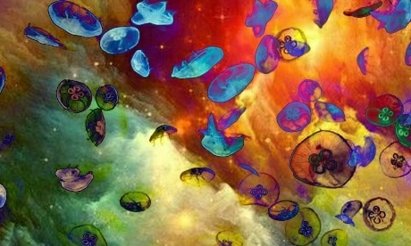 jellyfish in space part 2