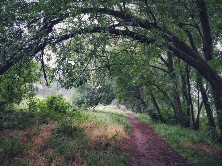 Park