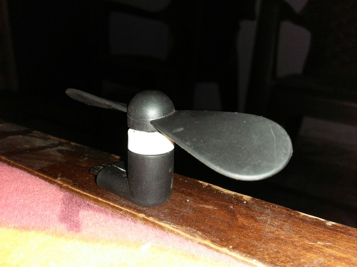 Fan
