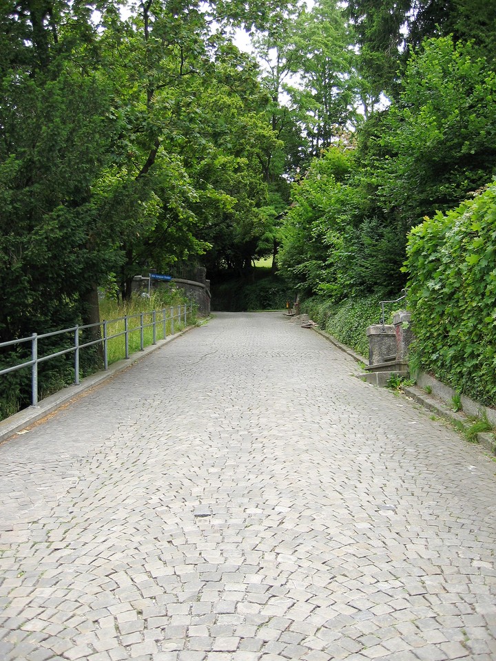 Scenics