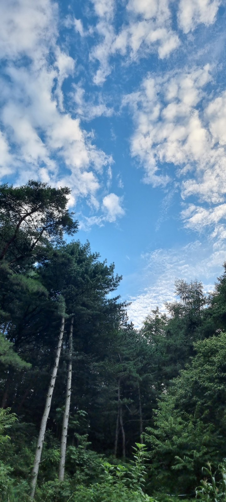 풍경