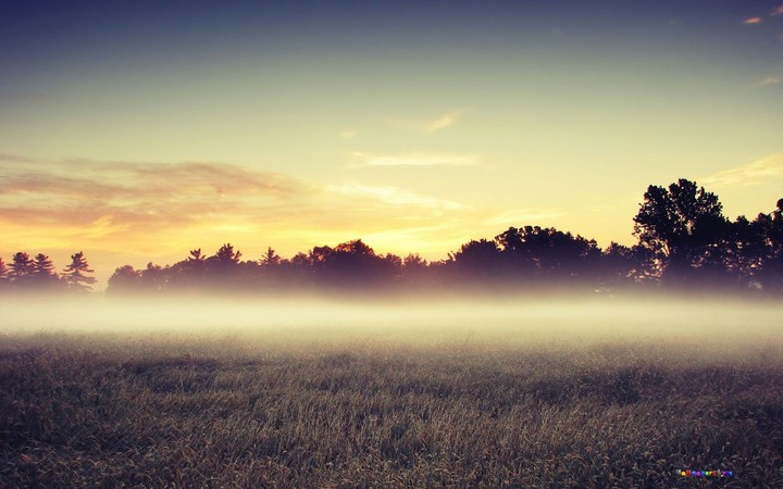 Утро|Morning
