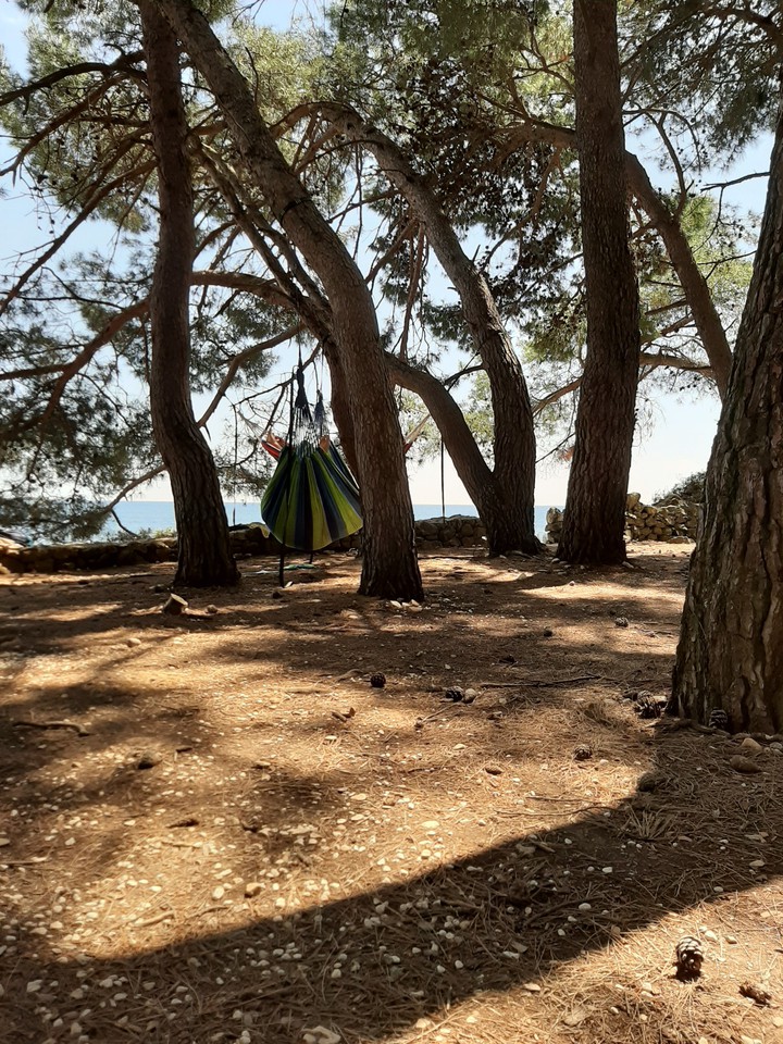 Au bord de la mère