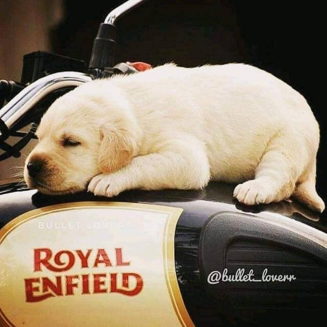 cute