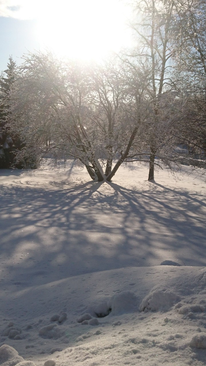 Beautiful Day at Oulu