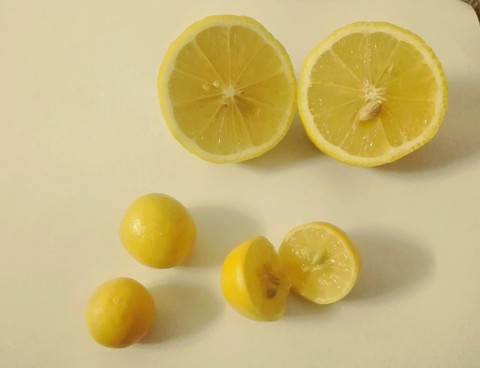 lemon ?