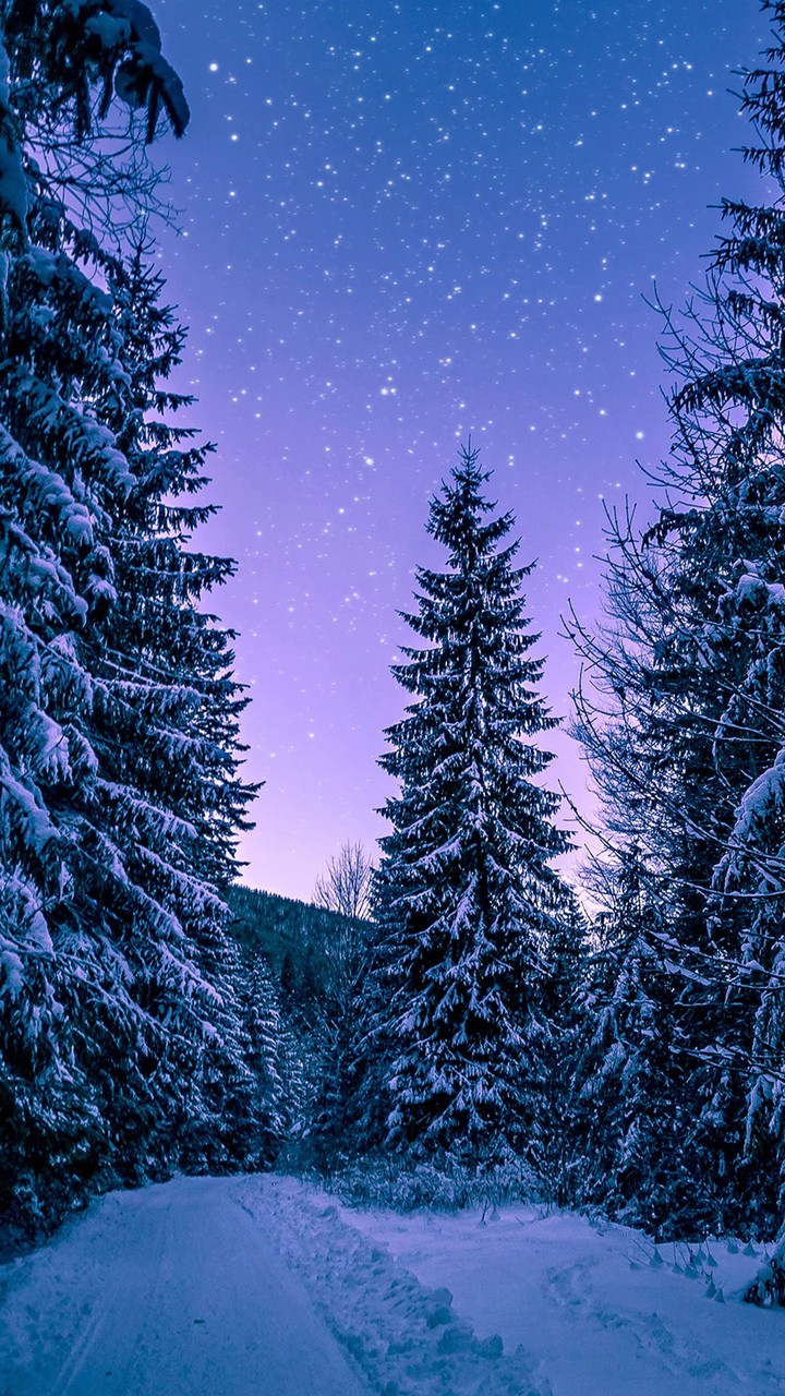 snowfall