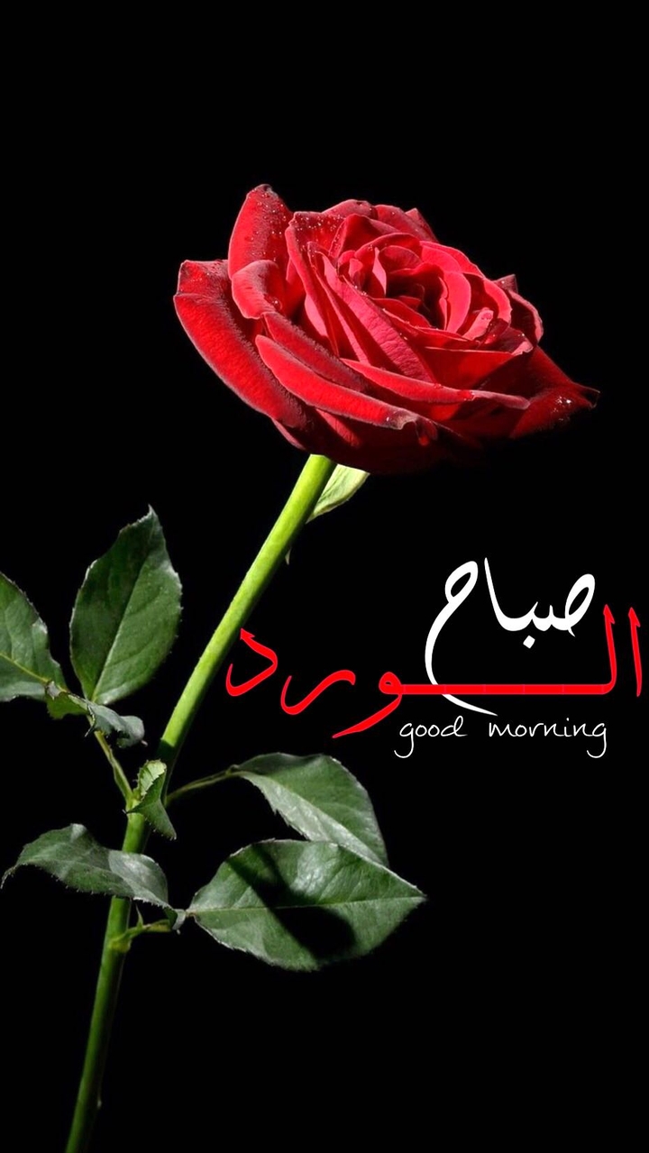 good morning
