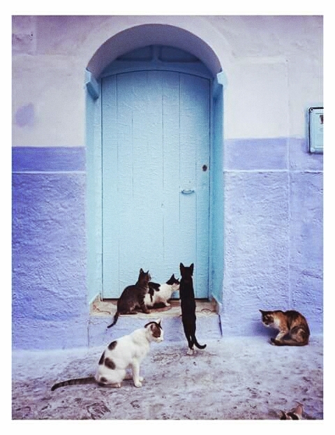 chaouen