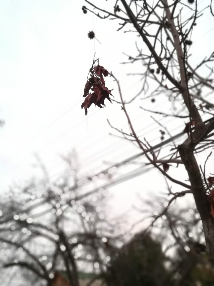 invierno