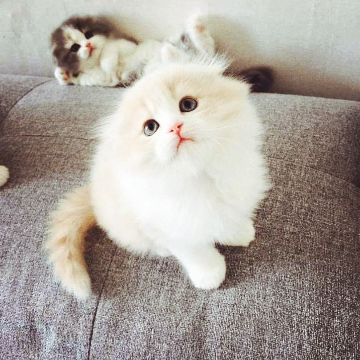 cuteeee