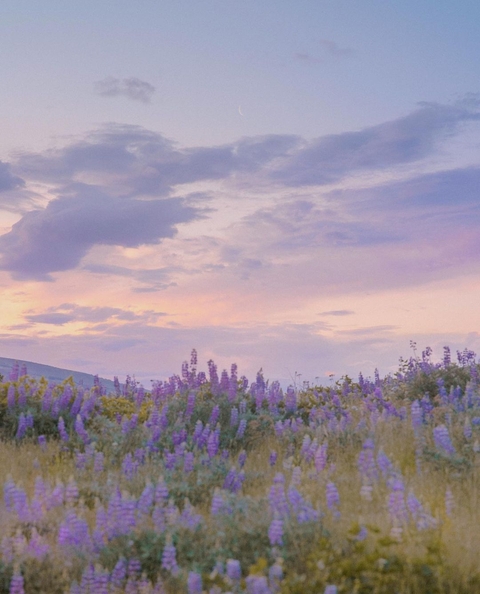 landscape, cloud wallpapers