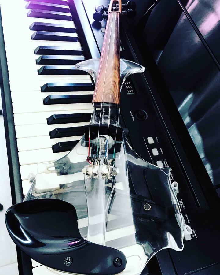 violin eletric