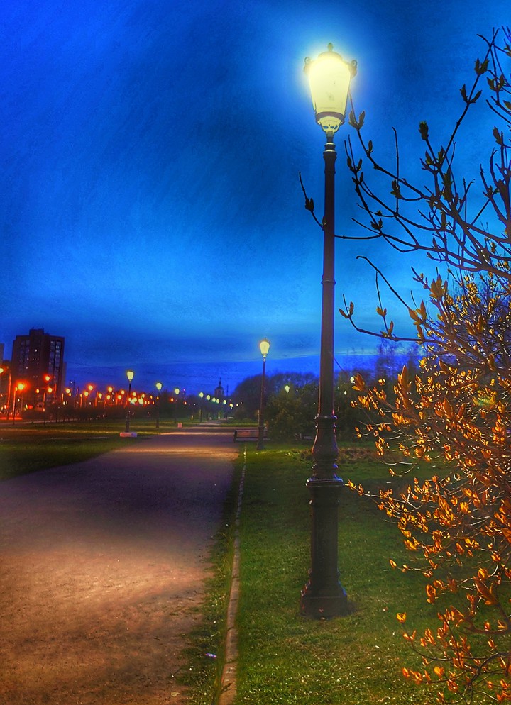 blue night