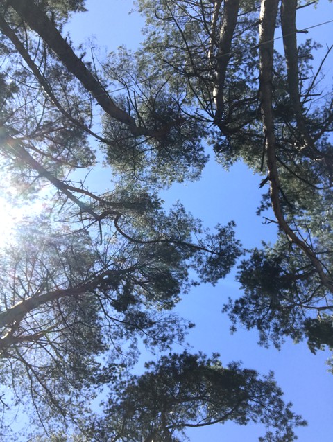 #Sky#