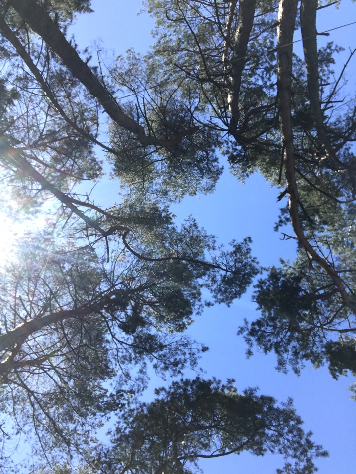 #Sky#
