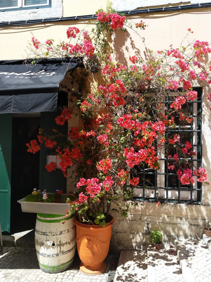 Lisbon, close to pink street