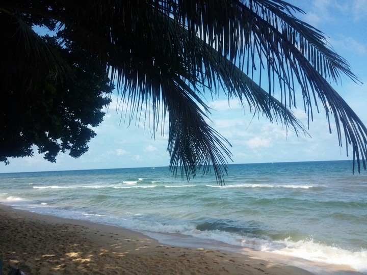sea