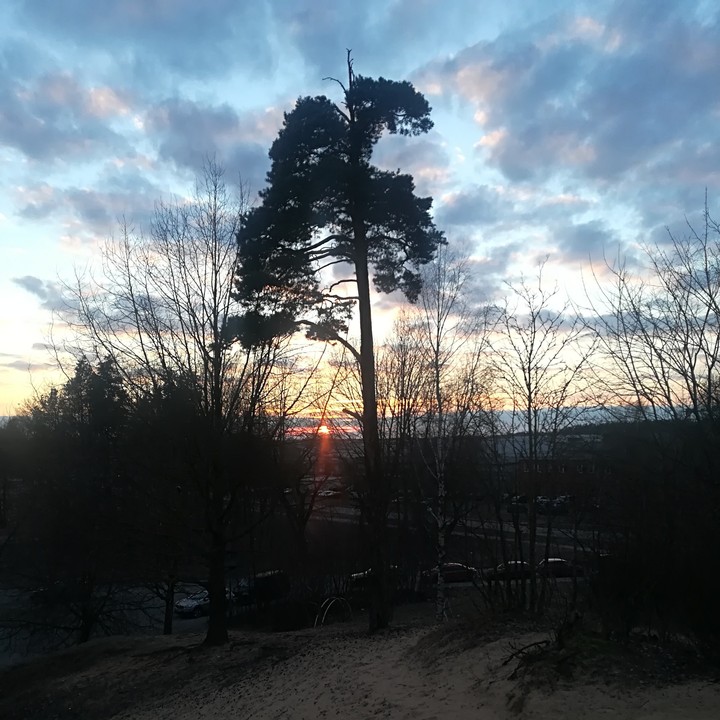 Saturday evening