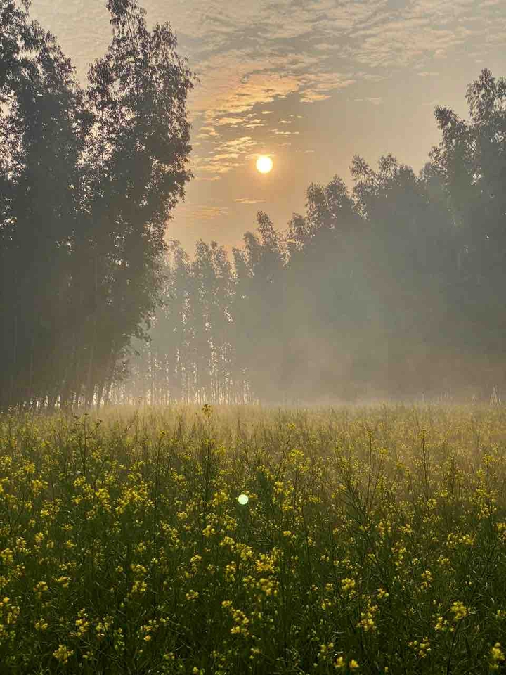 weather