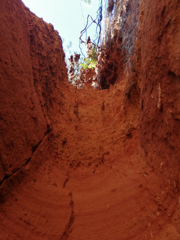 quarry in color