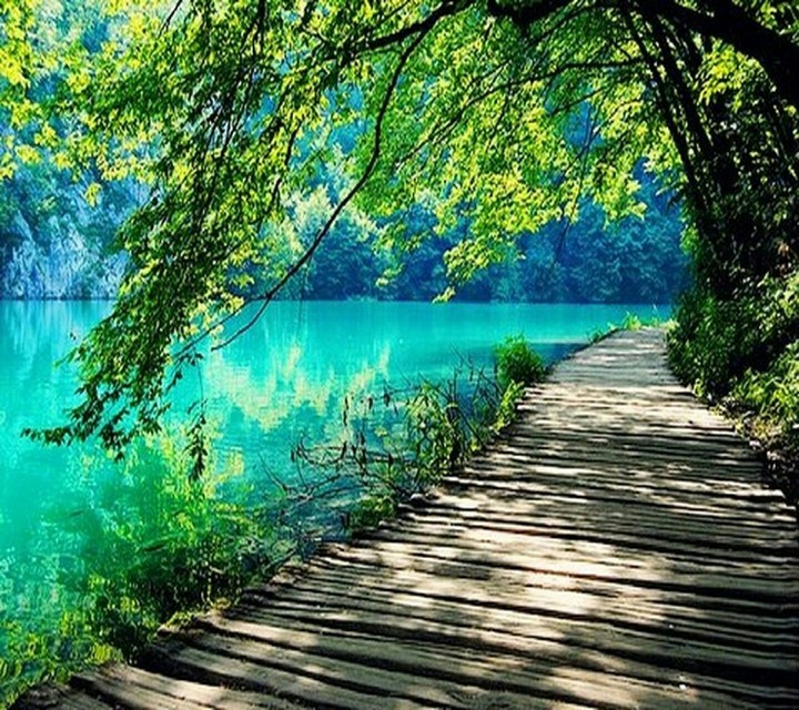 amazing nature