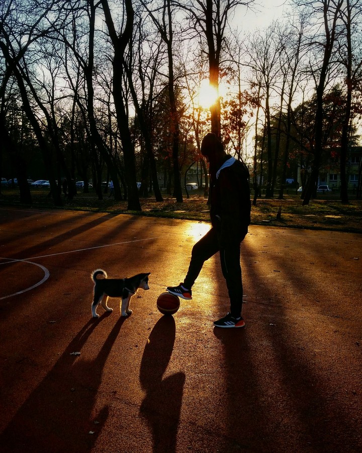 Love and basketball