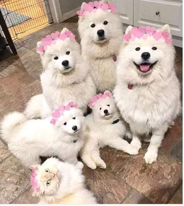 Pink pink❤❣❤