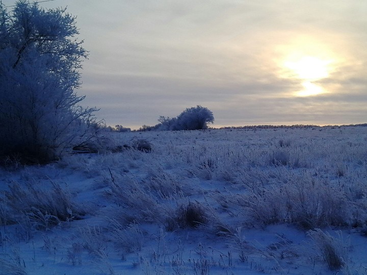 Winter