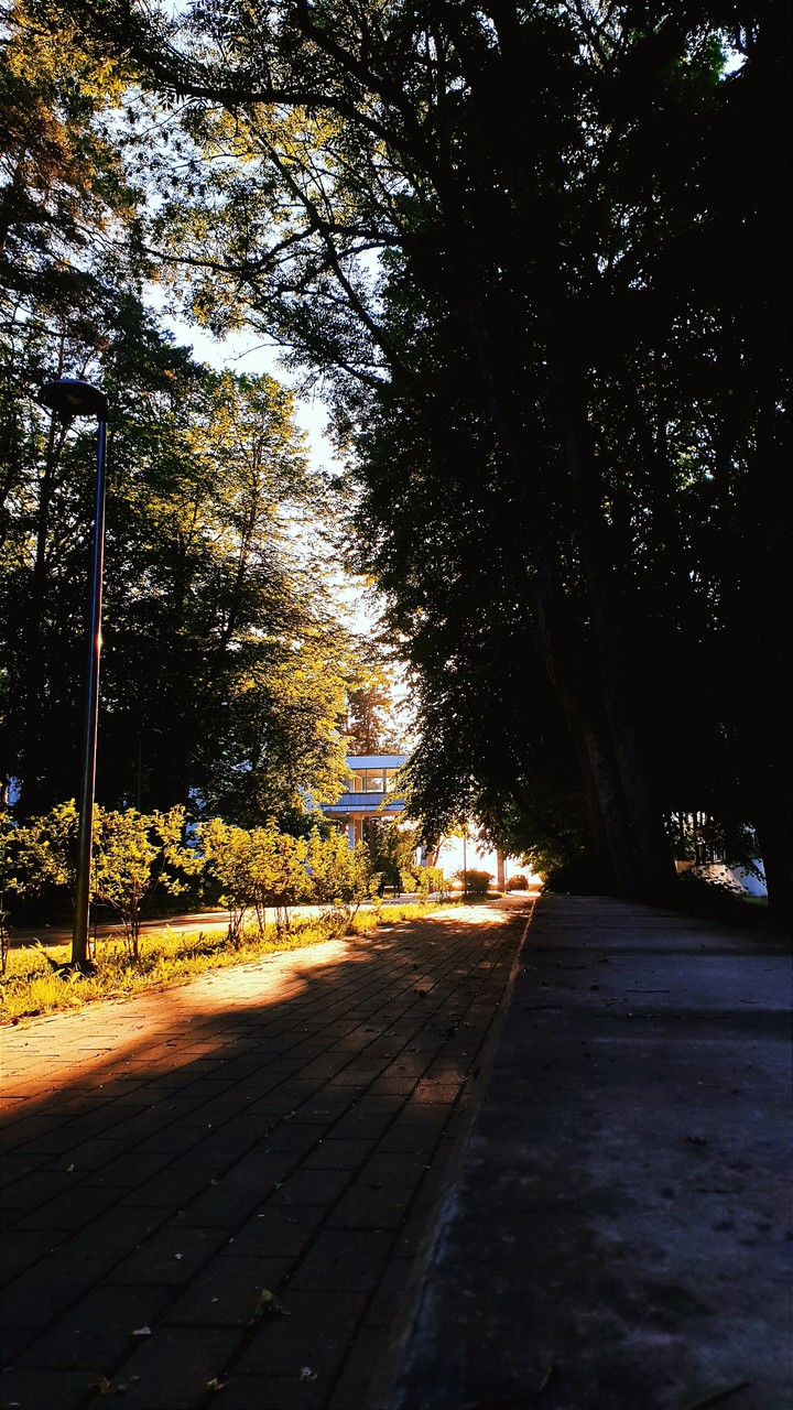 road to the beach.