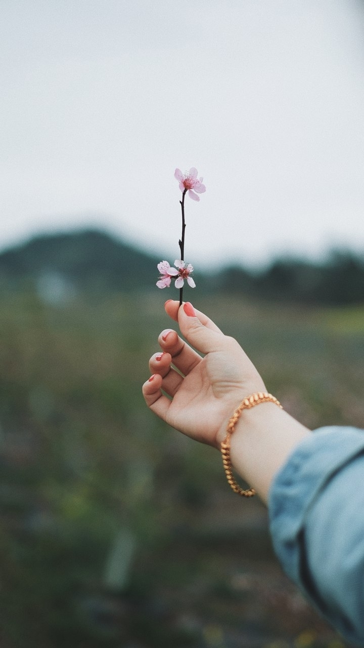 A flower branch for you
