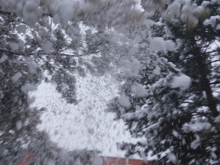 snow!!!!!