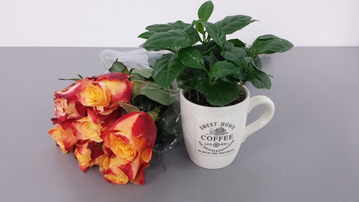 coffe time
