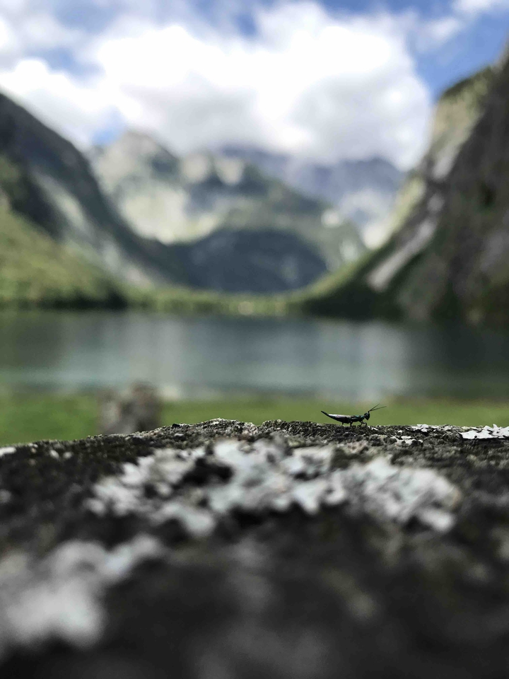 Königssee