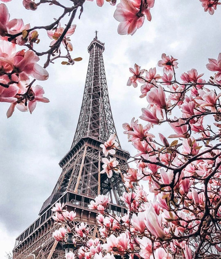 Paris❤