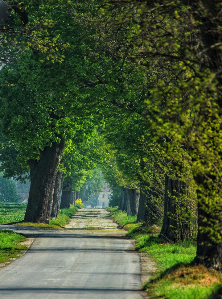 greenroad