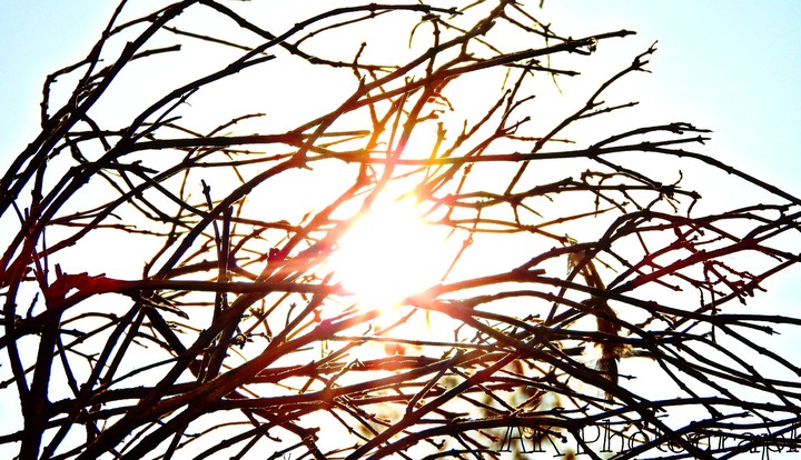 Ray of hope