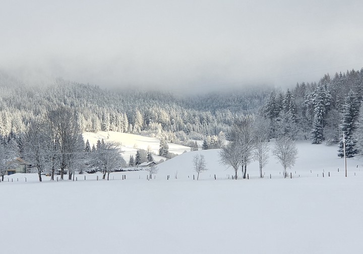 snow day