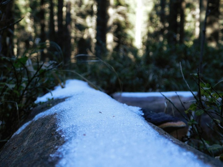 first snow