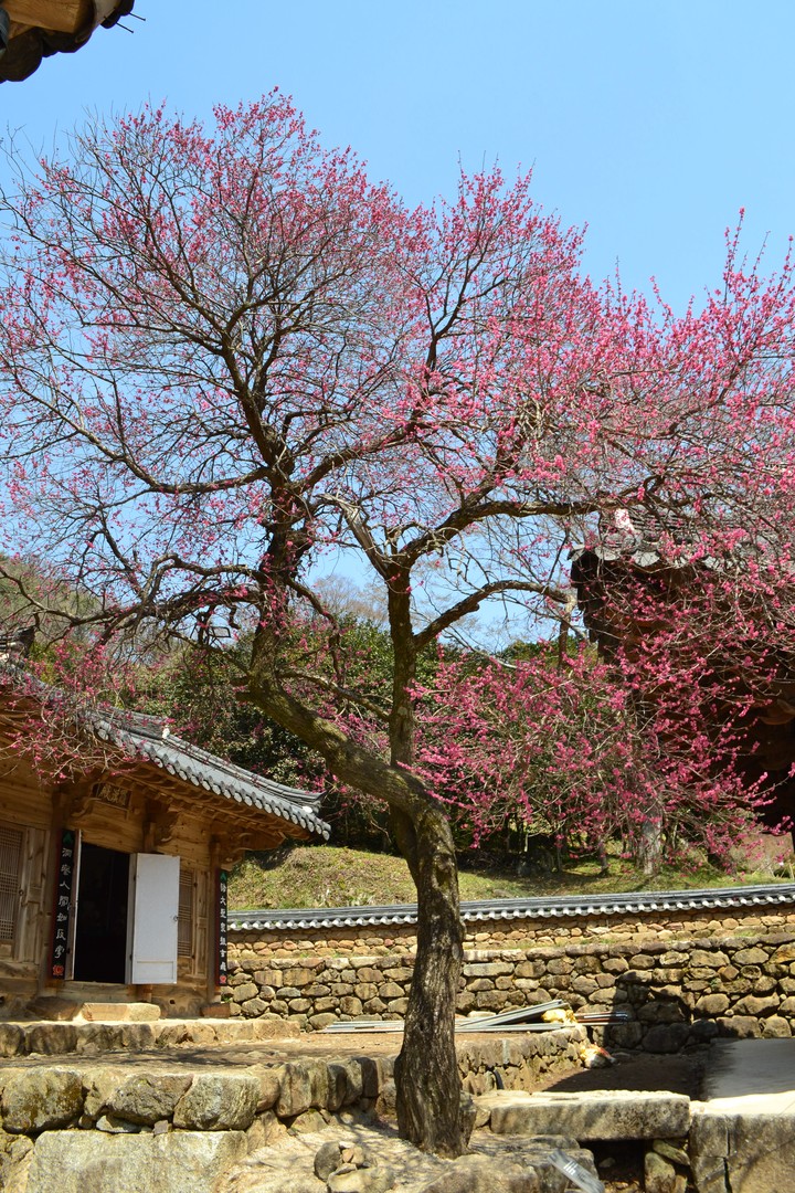 지리산이미지