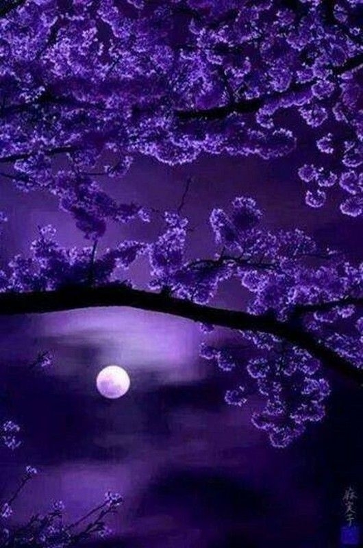 purple and beyond
