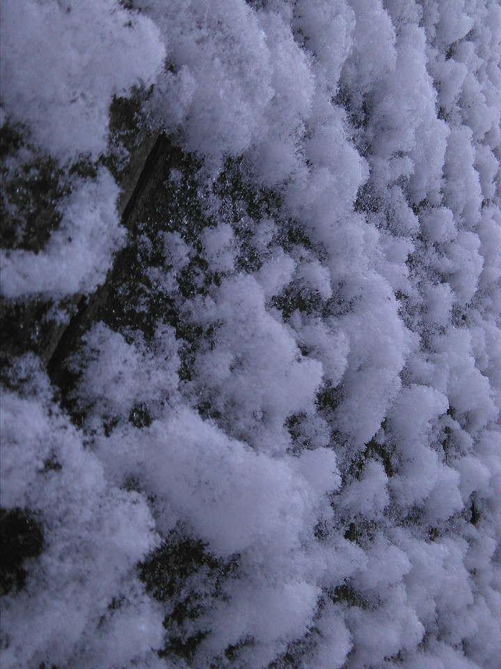 Magic winter
