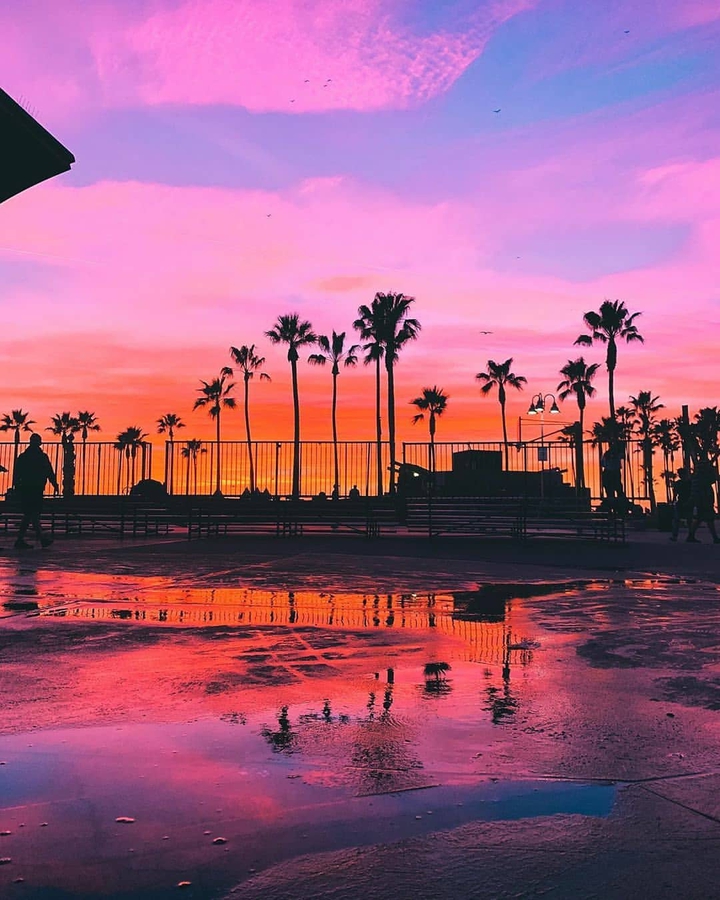 Venice Sunset