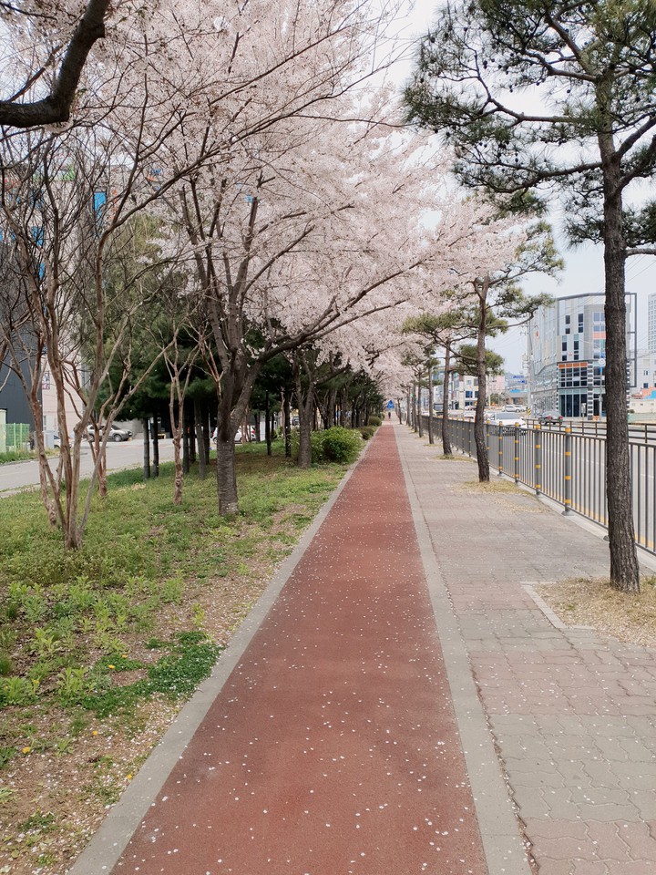 앗! 친구 만나러 가는 길에 본 풍경이 너무 예쁘다!