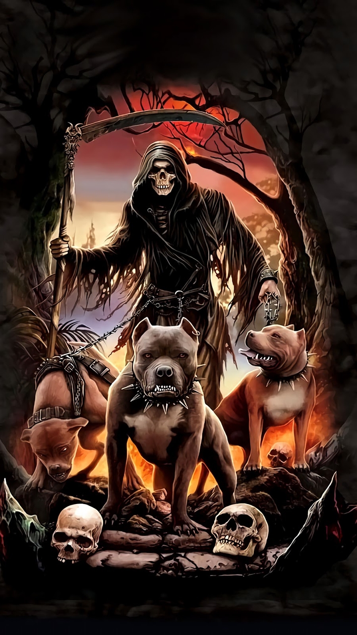 Dog