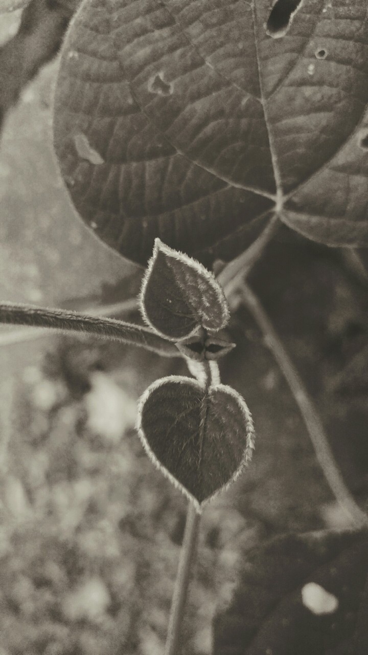 rpk photography