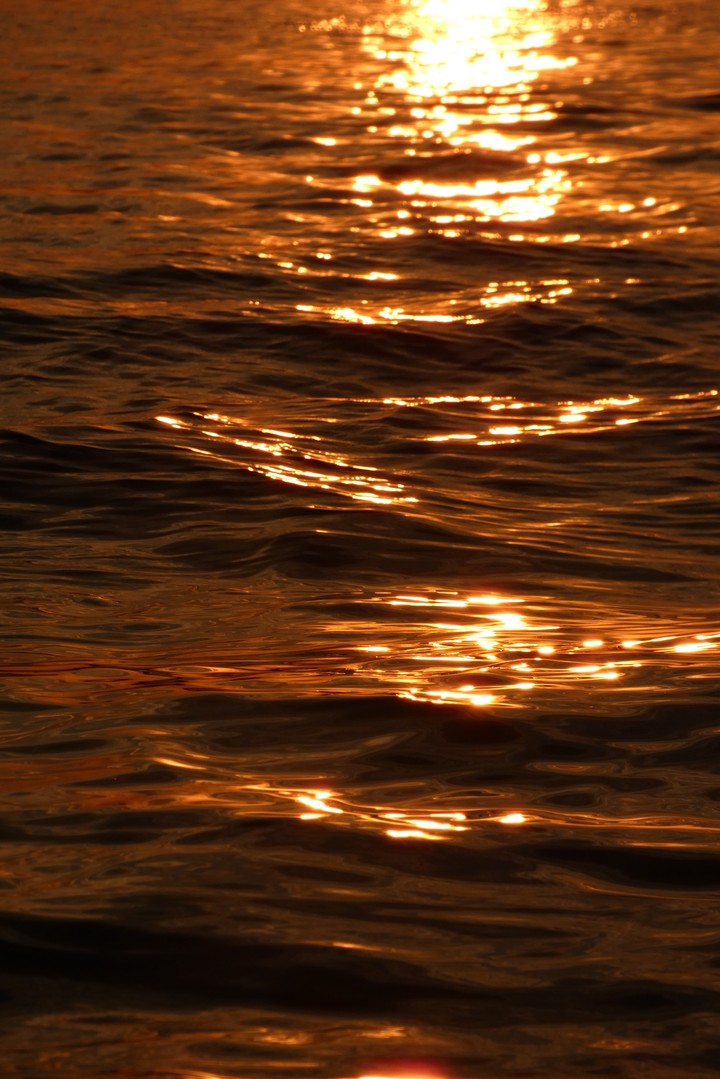 Waves