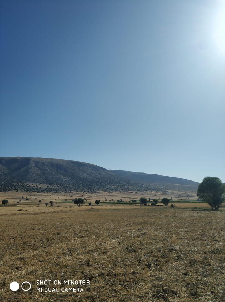sakin doğa